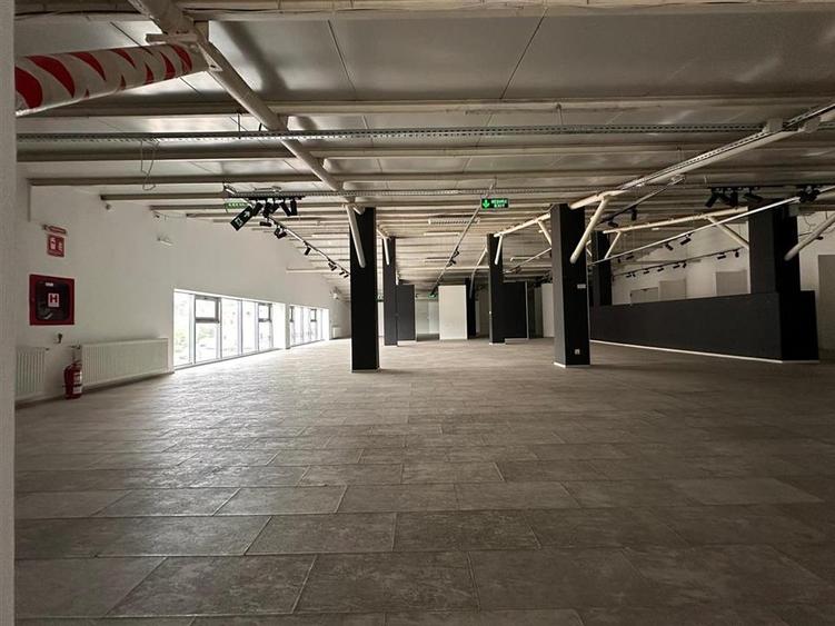 Spațiu industrial, de 1,310 mp, în Păcurari