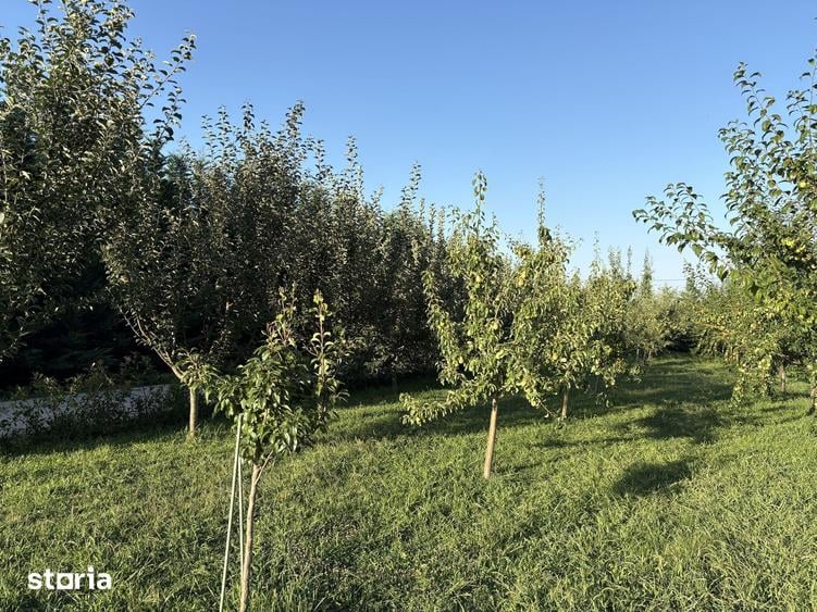 Teren de 2700 mp, în Vernești