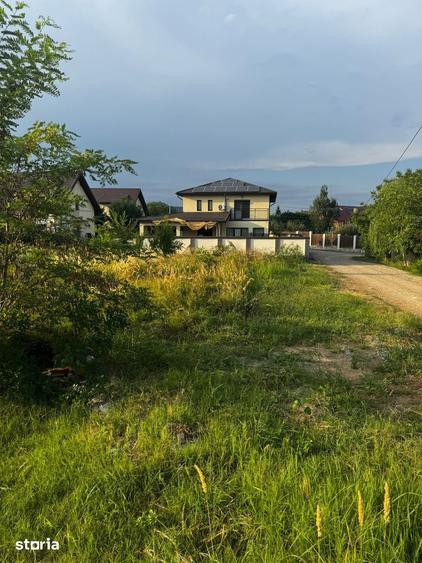 Teren intravilan Paulesti, Prahova, 110 000 euro Negociabil - 4