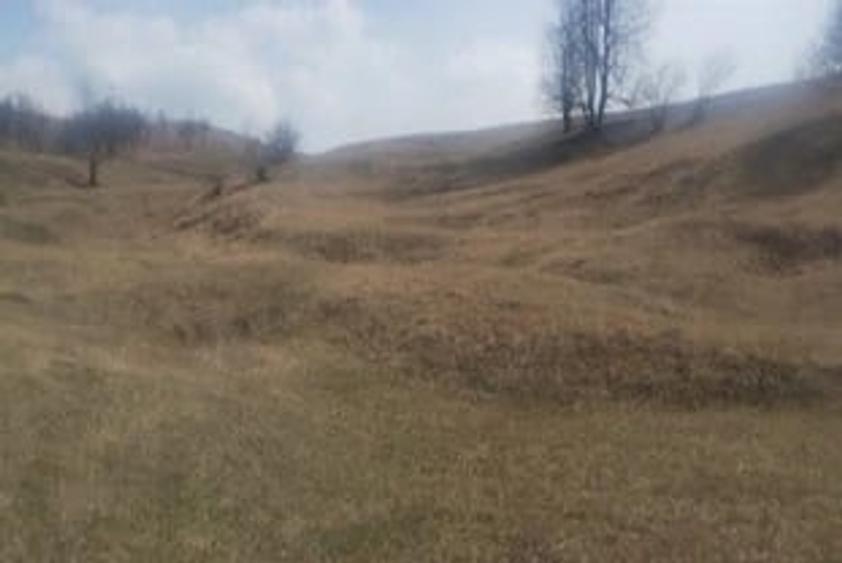 Teren de 5000 mp, în Brăești