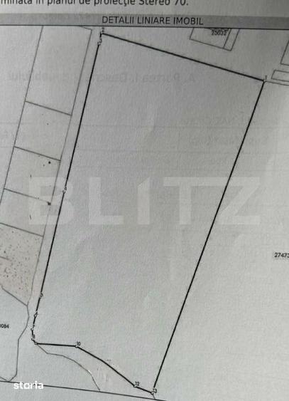 Teren Extravilan in Apropiere de Jelna 25.800 mp, cu Utilitati - 4