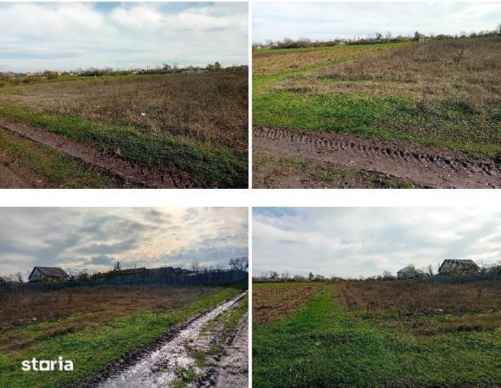 Teren de 1578 mp, în Mălureni