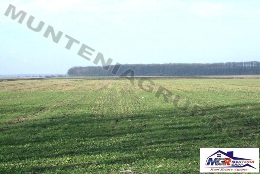 Teren agricol extravilan de 9200 mp, în Afumați