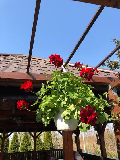 Casă cu 6 camere cu Teren 1500 Mp în Călugăreni
