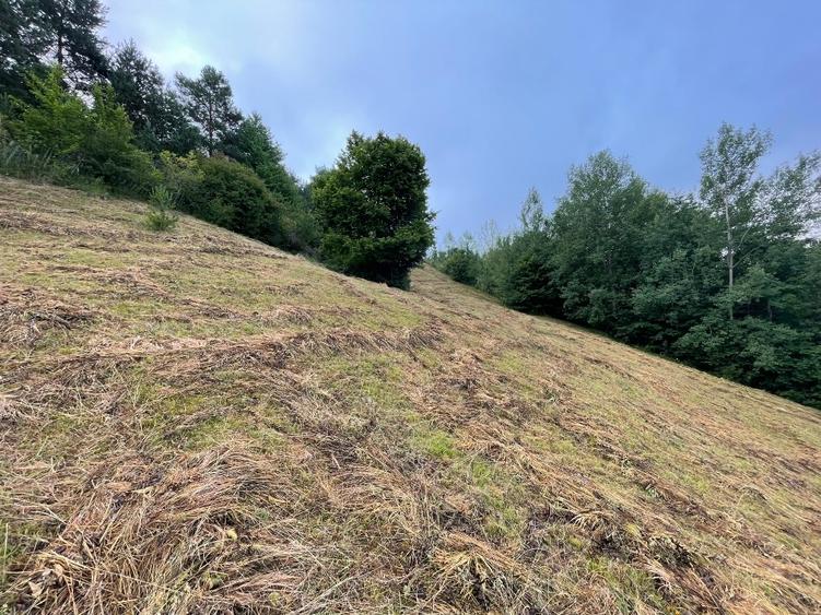 Teren Construcții intravilan de 1600 mp, în Ruginești