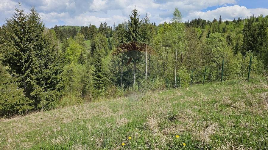 Teren agricol intravilan de 4048 mp, în Periferie