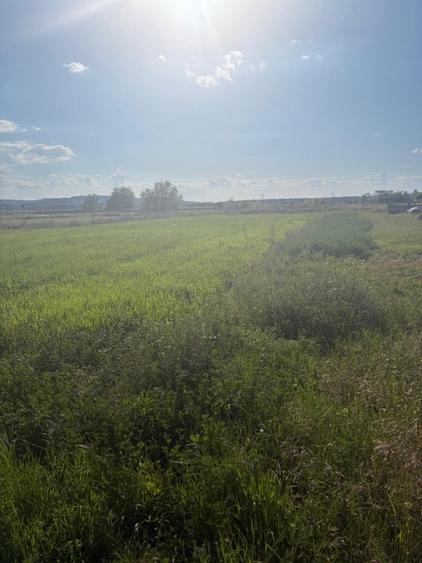 Teren Construcții intravilan de 2090 mp, în Filiași