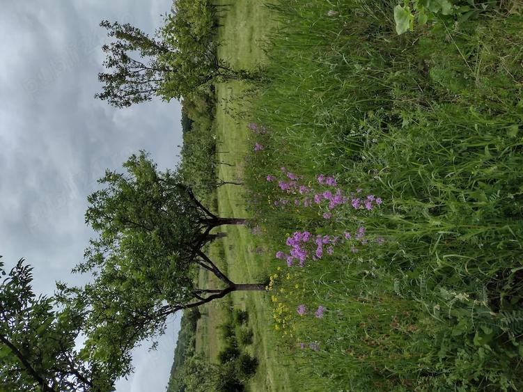 Teren de 4000 mp, în Pietroasa