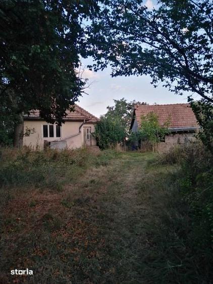 Teren de 1600 mp, în Tureni