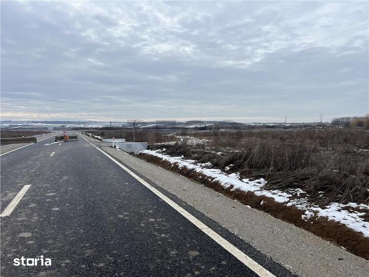 Teren de 30000 mp, în Biharia