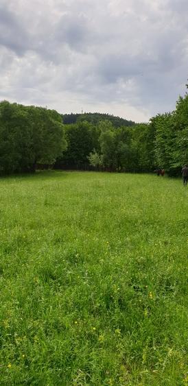 Teren agricol extravilan de 4364 mp, în Central