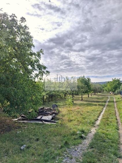 Teren Construcții intravilan de 30012 mp, în Bună Ziua