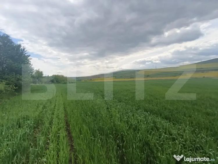 Teren de 52600 mp, în Unirea