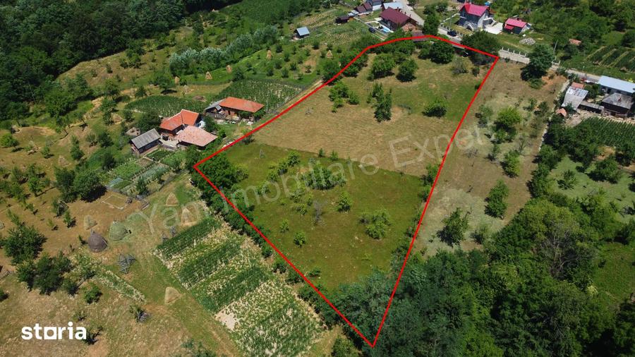 Teren de 6041 mp, în Cicănești