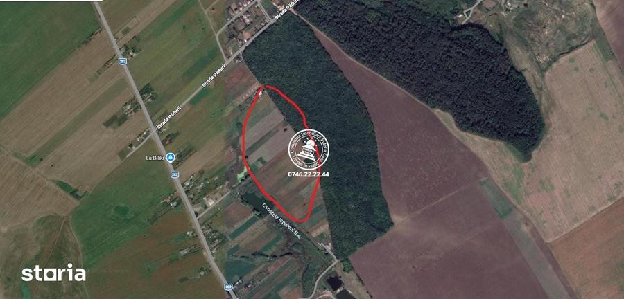 Teren de 5383 mp, în Movileni