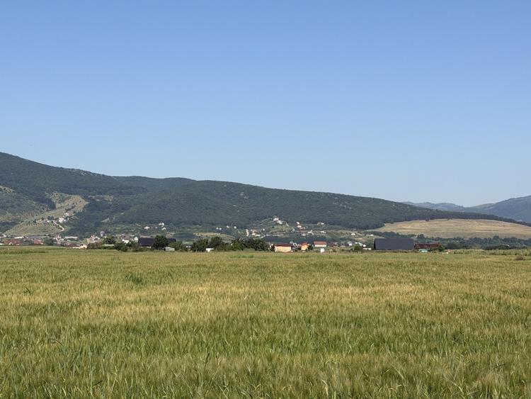Teren agricol intravilan de 11100 mp, în Bărăbanț