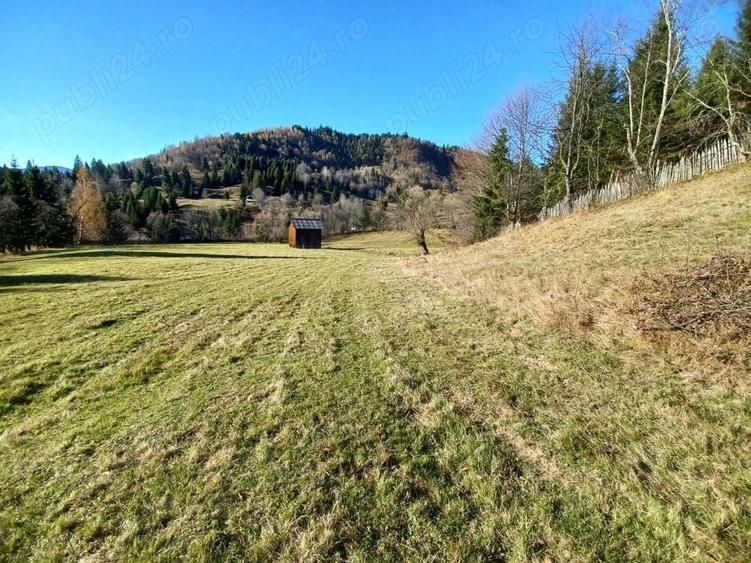 Teren de 8000 mp, în Vama