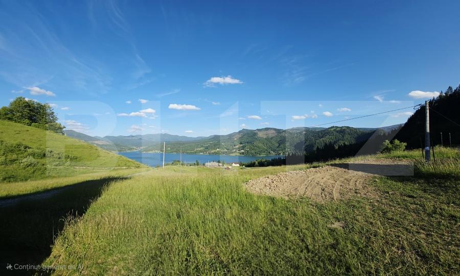 Teren Construcții intravilan de 50000 mp, în Nord
