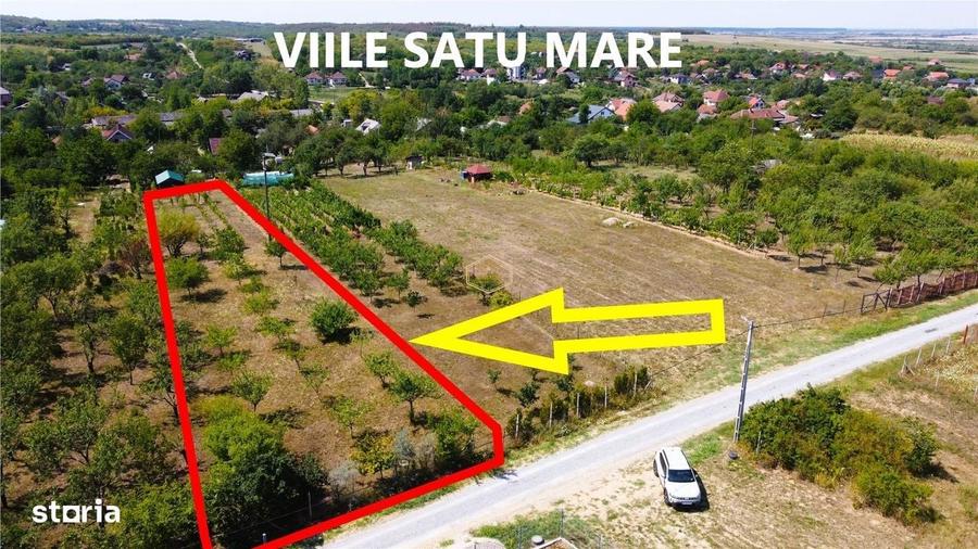 Spațiu comercial, în Central