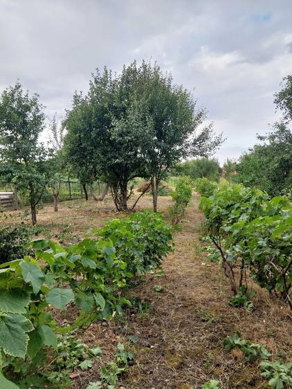 Casă cu 4 camere în Șiria