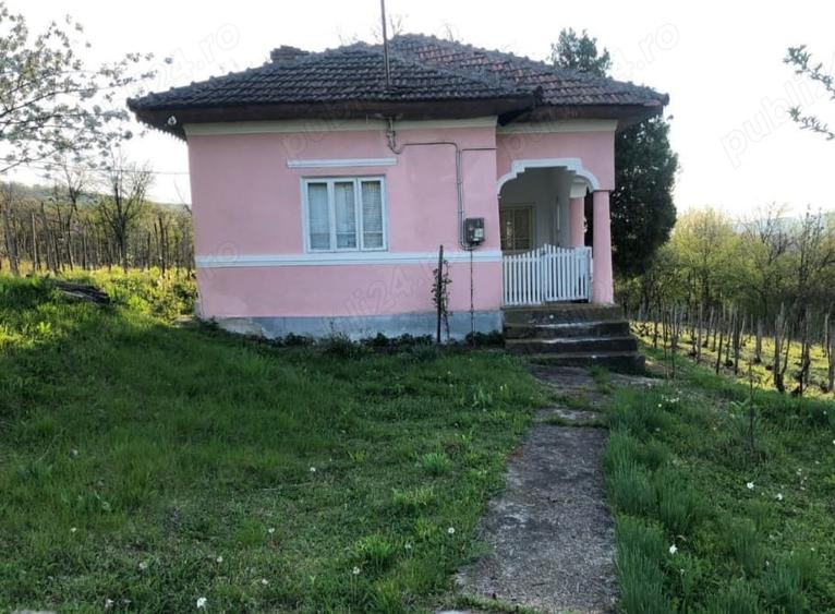 Casă cu 2 camere cu Teren 5000 Mp în Gura Motrului