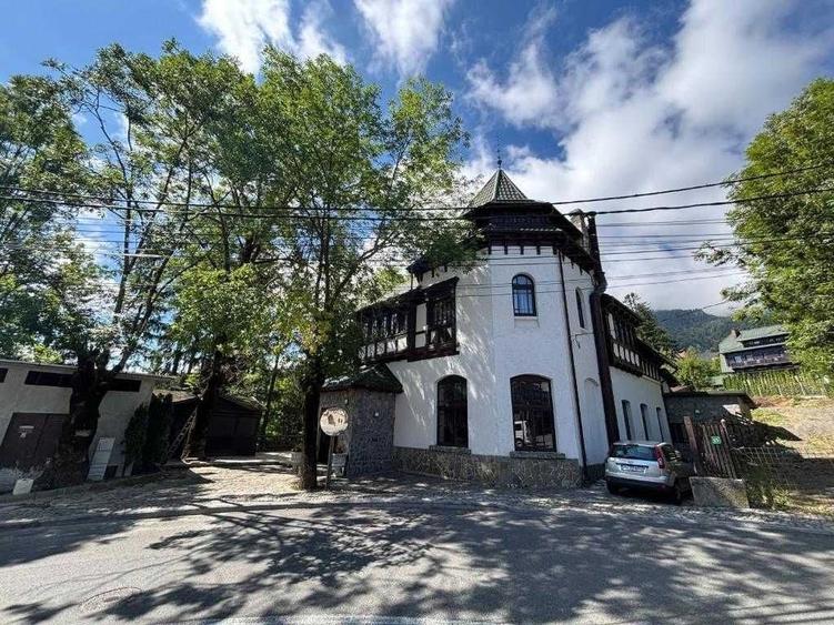 Spațiu comercial, în Castelul Peleș