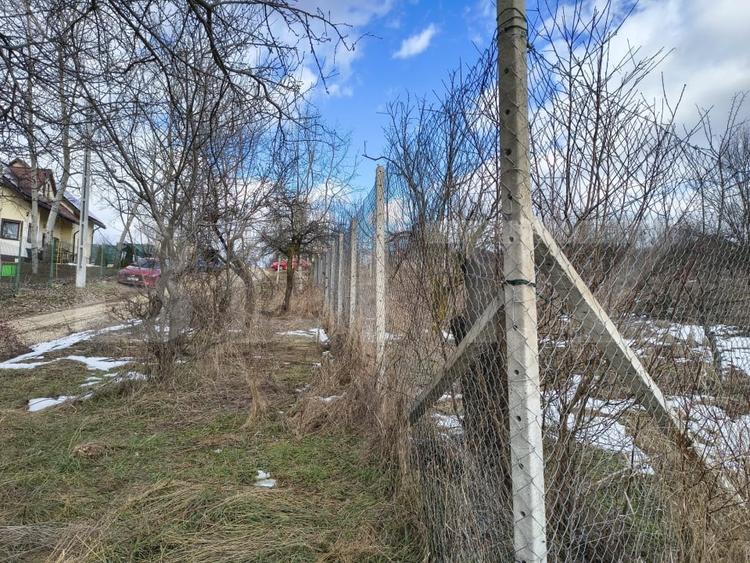Teren Construcții intravilan de 10000 mp, în Păulești