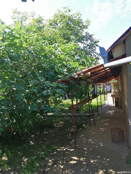 Casă cu 2 camere în Șag