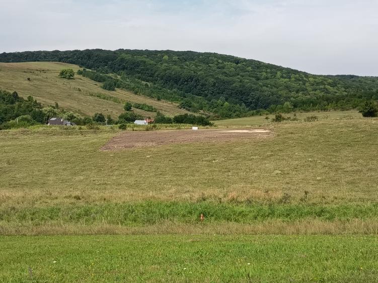 Teren construibil intravilan 5.000 mp parcelat in 2400mp + 2000mp cu drum- Piatra Neamt - 2