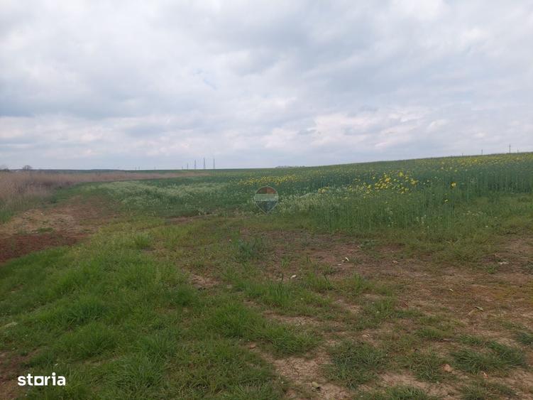 Teren 12,984mp Balotesti / Strada Albinelor - 3