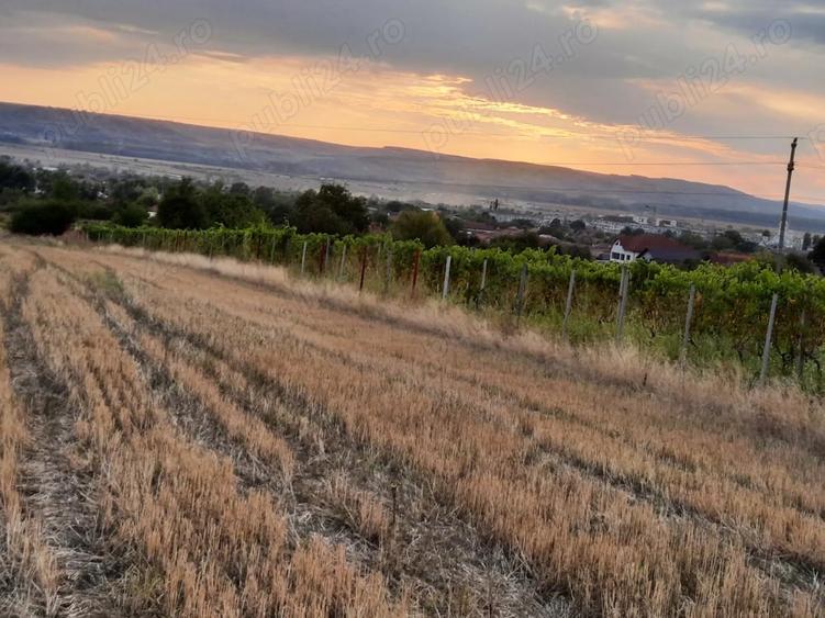 Teren de 1500 mp, în Central