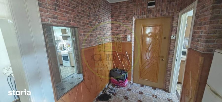 Apartament cu 2 camere decomandat în Craiovița Nouă