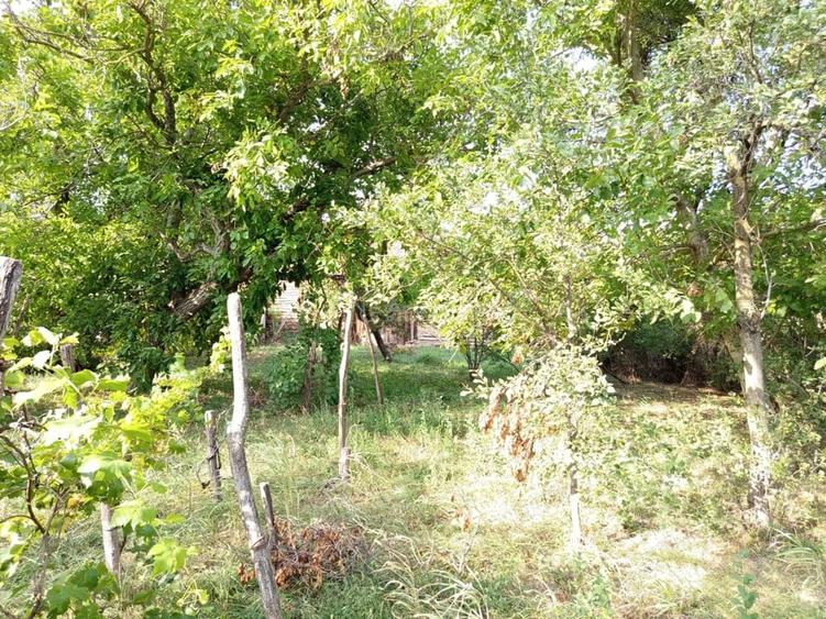 Casă cu Teren 1151 Mp în Ciuchici
