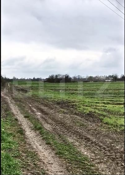 Teren agricol intravilan de 19650 mp, în Titu