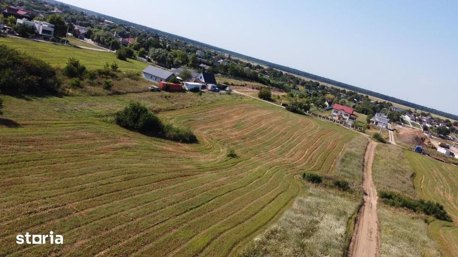 Teren intravilan 10.789 mp in Snagov - 7