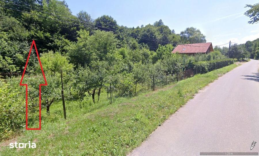 1.413mp extravilan Valea Ve?elului zona retrasa - 8
