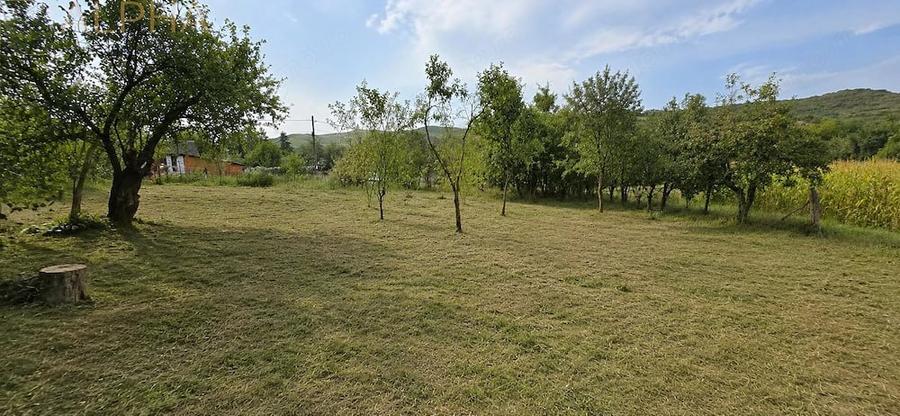 Casă cu 5 camere cu Teren 2320 Mp în Herina