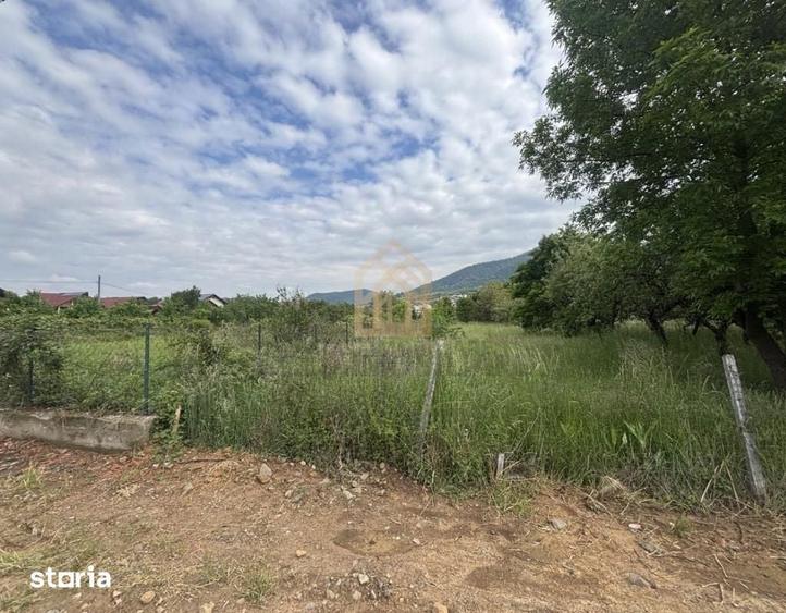 Teren de 3700 mp, în Valea Borcutului