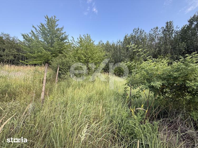 Teren 1963 mp de vanzare in Topoloveni | Zona linistita si aerisita - 2