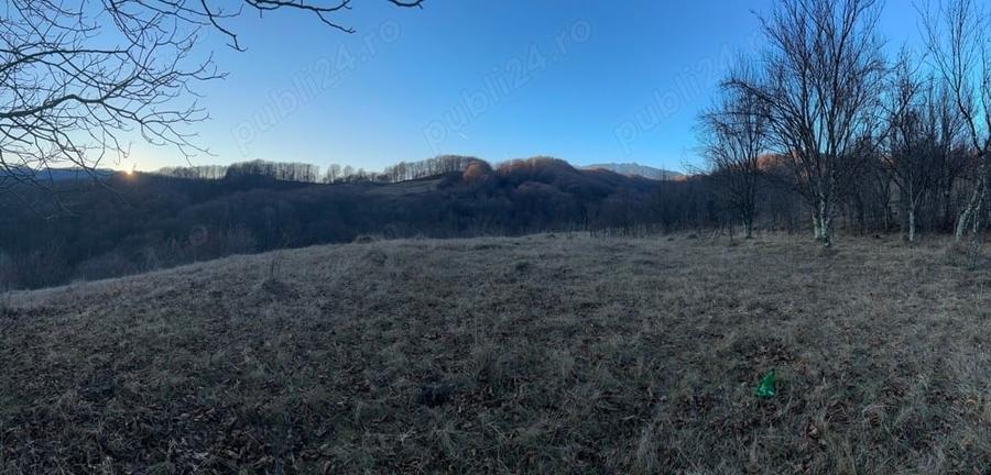 Teren de 4000 mp, în Gurguiata