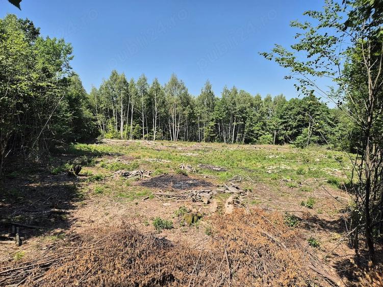 Teren de 3700 mp, în Viștișoara