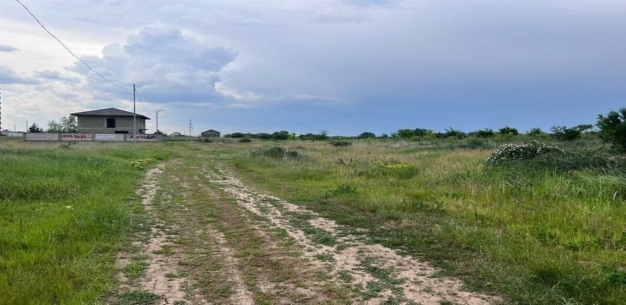 Teren Construcții intravilan de 446.7200012207 mp, în Chiajna