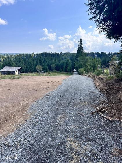 Teren de 8933 mp, în Râșca