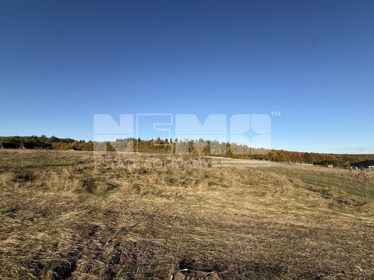 Teren agricol intravilan de 2900 mp, în Horodnic de Sus