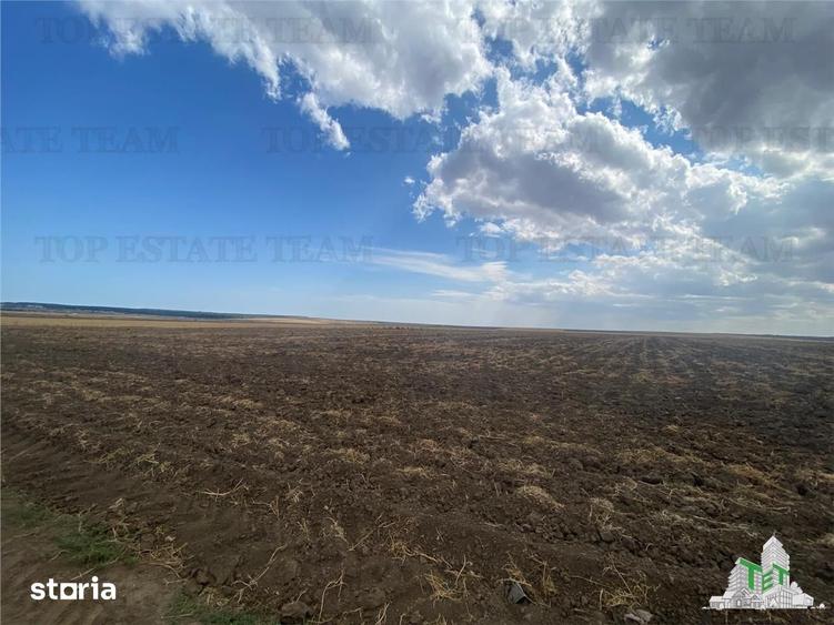 Teren de 24250 mp, în Mihail Kogălniceanu