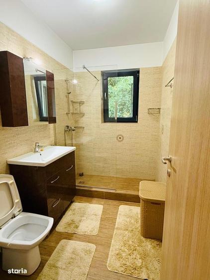 Apartament 2 camere Mosilor - 9
