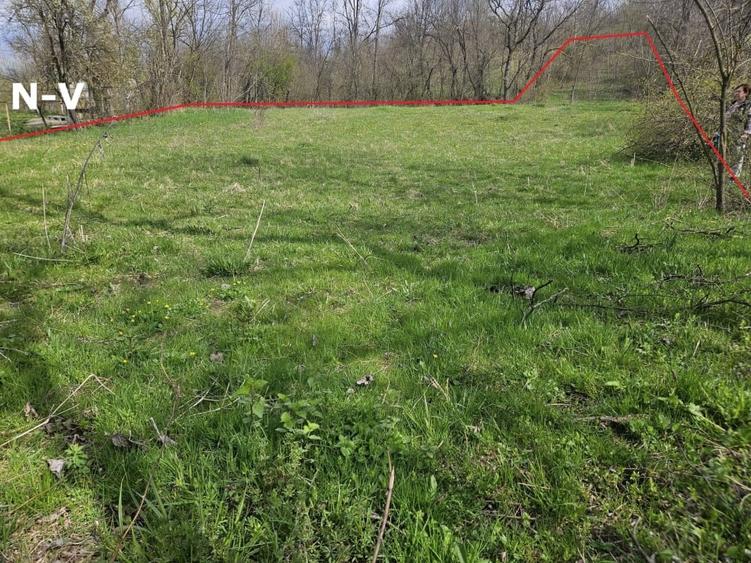 Teren Construcții intravilan de 2640 mp, în Prăjani
