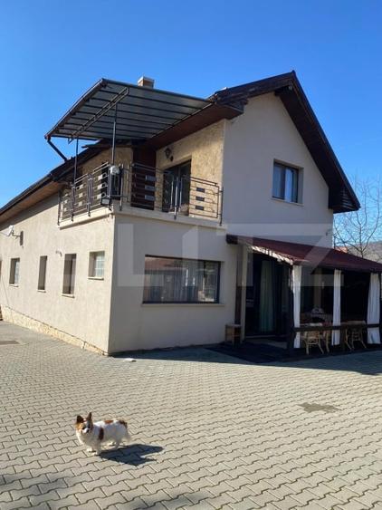 Casă individuală cu 6 camere cu Teren 1905 Mp în Stejeriș