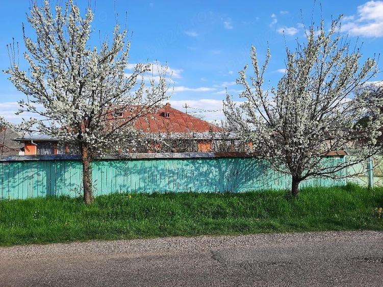 Casă cu Teren 1500 Mp în Români