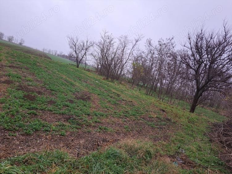 Casă cu 3 camere în Nuntași